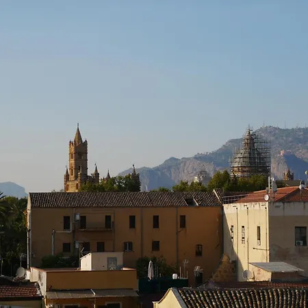 Simone Cupolas View *